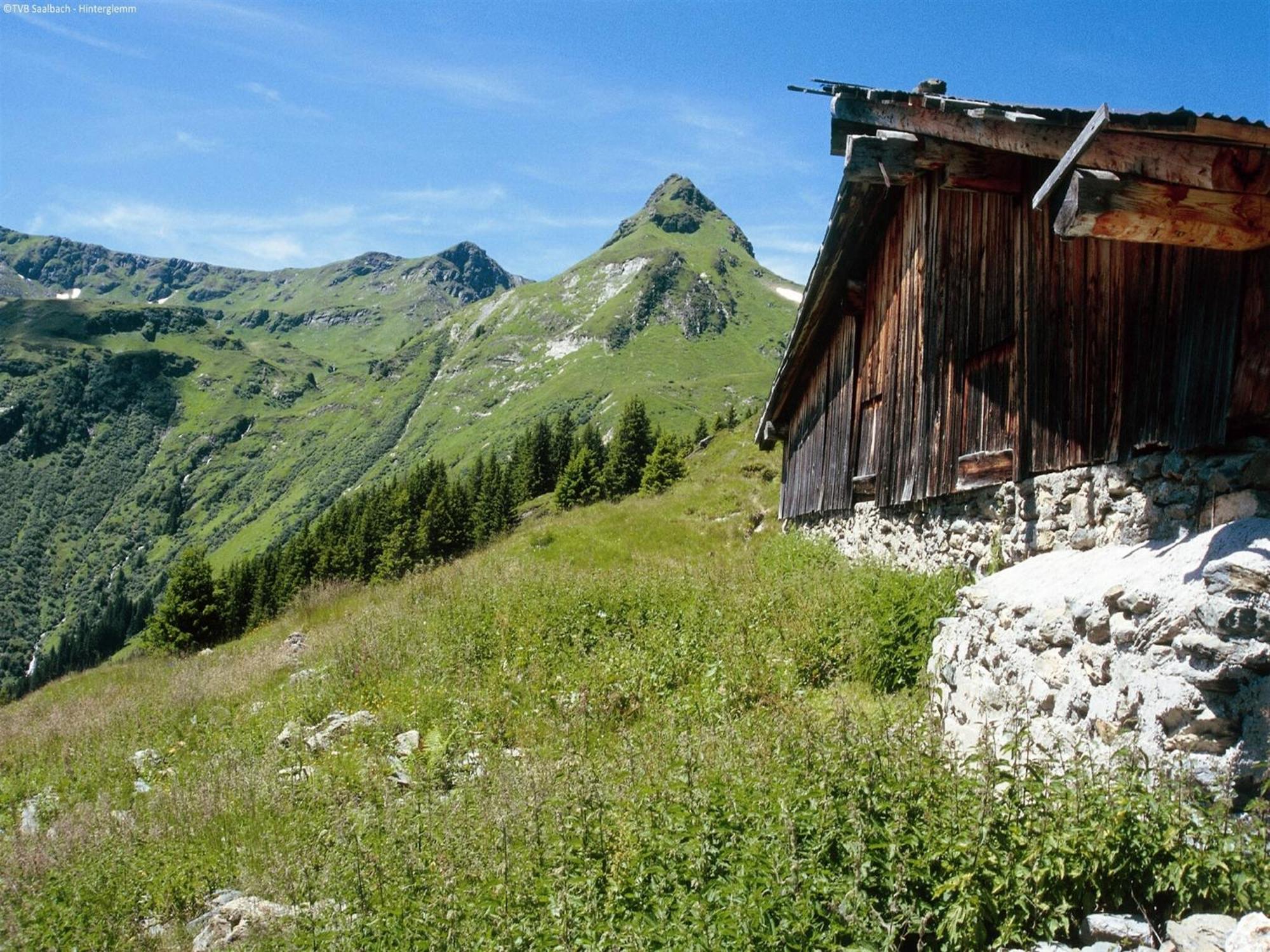 Modern Chalet With Sauna Near Ski Area In Saalbach Hinterglemm Salzburgerland Ngoại thất bức ảnh
