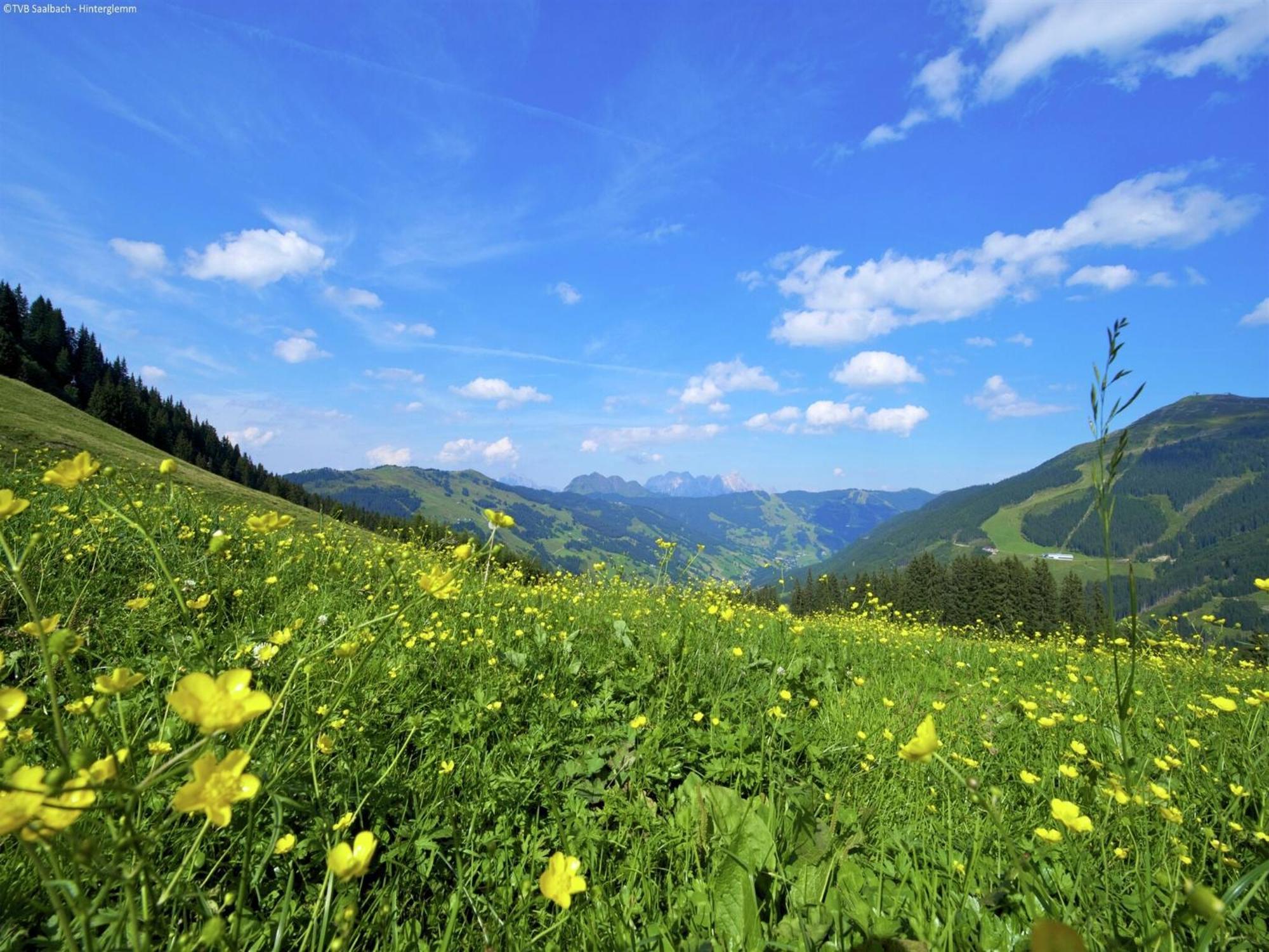 Modern Chalet With Sauna Near Ski Area In Saalbach Hinterglemm Salzburgerland Ngoại thất bức ảnh